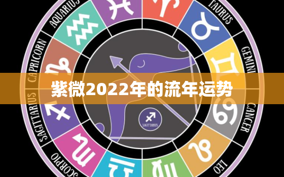 紫微2022年的流年运势，2020紫微流年运势