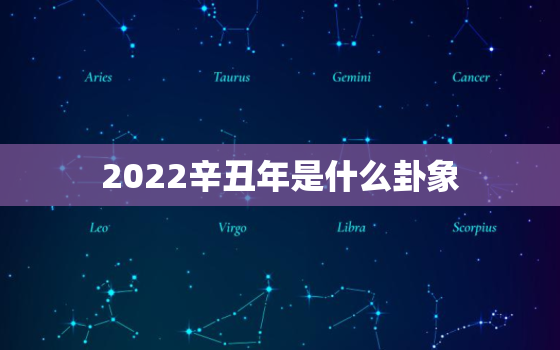 2022辛丑年是什么卦象，辛丑年2021卦象分析