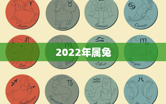 2022年属兔，2022年属兔的幸运色