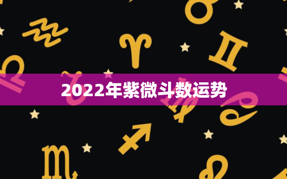 2022年紫微斗数运势，紫微斗数2021年命宫