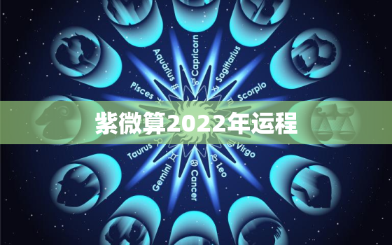 紫微算2022年运程，测运势2021年运势免费紫微