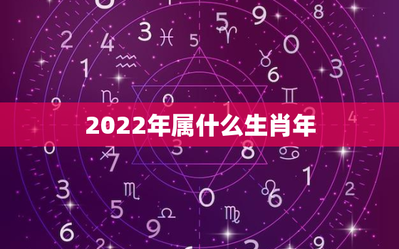2022年属什么生肖年，2022年属什么生肖年是什么命