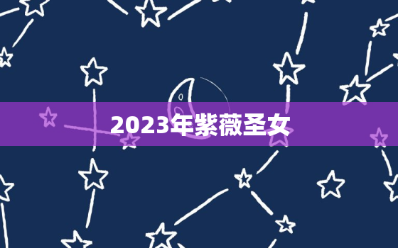 2023年紫薇圣女，2023年紫薇圣女特征