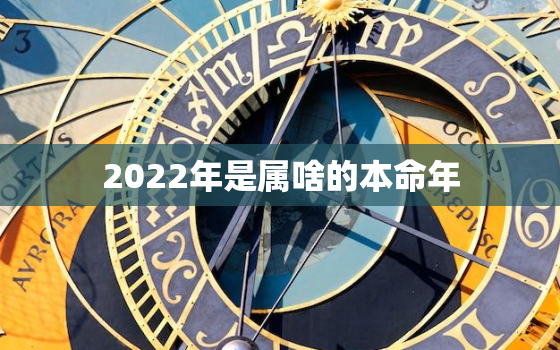 2022年是属啥的本命年，生肖表十二顺序