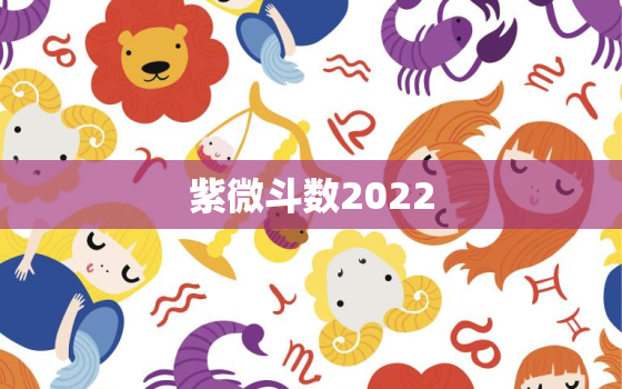 紫微斗数2022，算命2022年