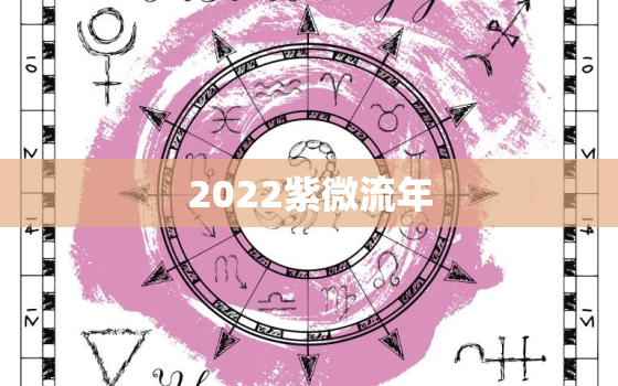 2022紫微流年，辛丑牛年国运预测
