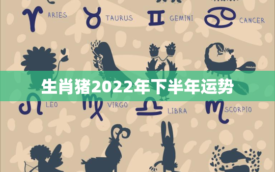 生肖猪2022年下半年运势，2022年属猪运势完整版
