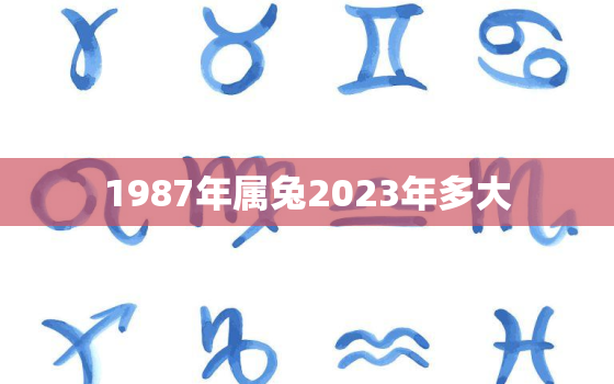 1987年属兔2023年多大，1987年出生2023年多大