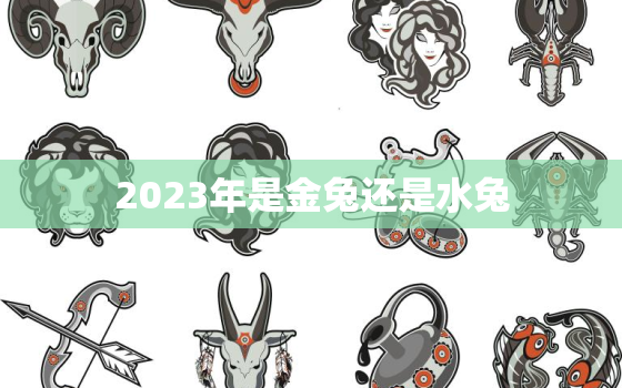 2023年是金兔还是水兔，2024年是木龙还是水龙