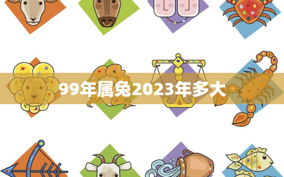 99年属兔2023年多大，99年出生2023年多大