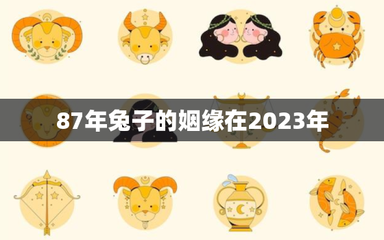 87年兔子的姻缘在2023年，87年兔子的姻缘在2022年