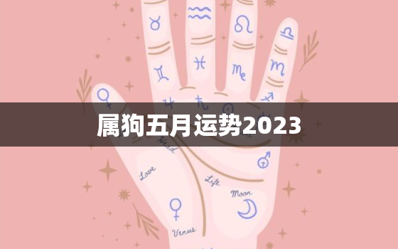 属狗五月运势2023(财运亨通事业顺利感情甜蜜)