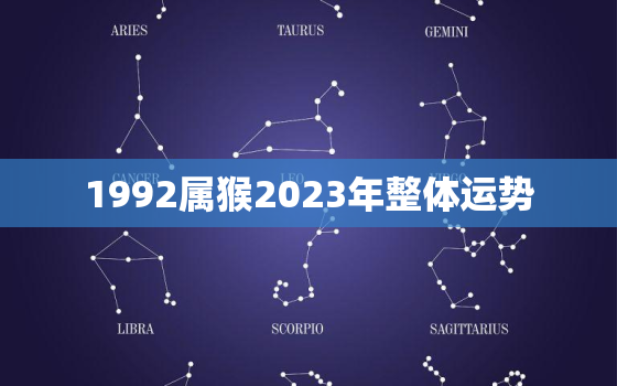 1992属猴2023年整体运势(猴年大展宏图)