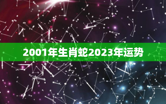 2001年生肖蛇2023年运势(未来三年财运旺盛但需注意人际关系)