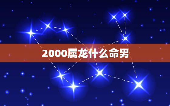 2000属龙什么命男（2000年属龙男性命运探究）