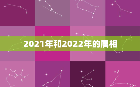 2021年和2022年的属相，2021年2月3日属什么属相