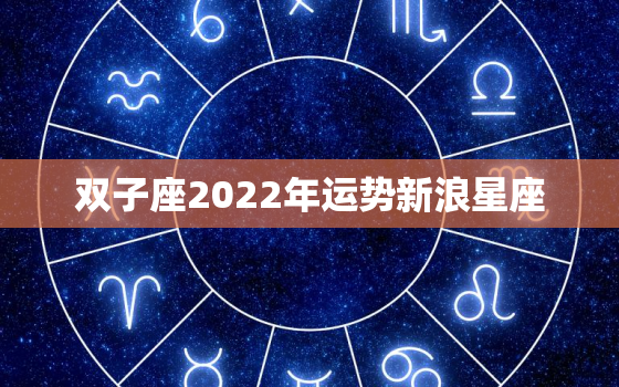 双子座2022年运势新浪星座