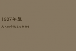 1987年属兔人的命运怎么样，1987年属兔的命运好不好