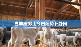 白羊座男士今日运势卜卦网(卜卦揭示今日运势)