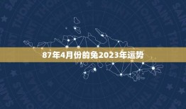 87年4月份的兔2023年运势(好运连连财源滚滚)