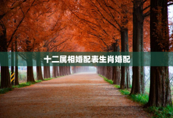 十二属相婚配表生肖婚配，十二属相婚配表大全
