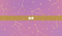 金木水火土命查询讲解(探寻五行命理奥秘)