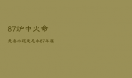 87炉中火命是喜水还是忌水，86炉中火命是喜水还是忌水