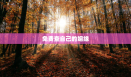 免费查自己的姻缘，免费查一查自己的正缘