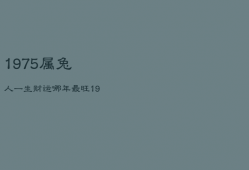 1975属兔人一生财运哪年最旺，1975 属兔