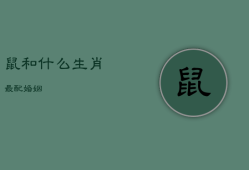 鼠和什么生肖最配婚姻，鼠和什么生肖最配婚姻最好