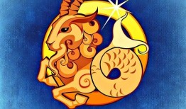 12星座中谁最配摩羯座(完美匹配的星座组合)