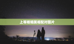 上等婚姻属相配对图片，上等婚姻属相配对图片大全