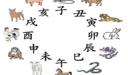 牛蛇女虎婚配是否合适，属虎和属蛇的婚配好不好