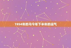 1954年的马今年下半年的运气(展望机遇与挑战并存)