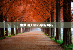 免费测夫妻八字的网站，夫妻八字免费测试