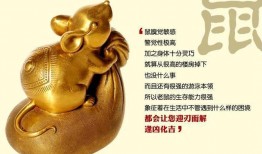 十二生肖相冲表，十二生肖属相相合表图