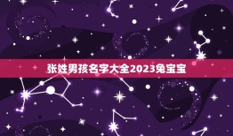 张姓男孩名字大全2023兔宝宝(选择宝宝取名的方法和建议)