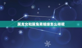 属龙女和属兔男姻缘怎么样呢(介绍属龙女和属兔男的情感契合度)