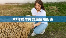 03年属羊男的最佳婚配表(寻找最佳伴侣的指南)
