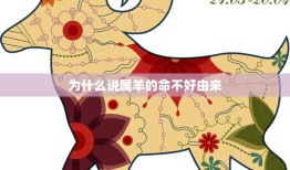 为什么说属羊的命不好由来(探究历史传说还是现实生活)