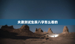夫妻测试生辰八字怎么看的，夫妻测试生辰八字怎么看的呢