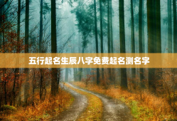五行起名生辰八字免费起名测名字，五行起名生辰八字免费起名测名字