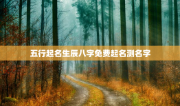 五行起名生辰八字免费起名测名字，五行起名生辰八字免费起名测名字