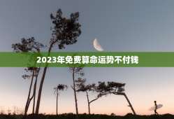 2023年免费算命运势不付钱，202免费算命一年运势