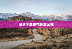 属马今年桃花运怎么样，属马的今年桃花