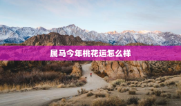 属马今年桃花运怎么样，属马的今年桃花