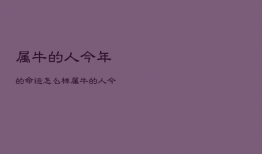 属牛的人今年的命运怎么样，属牛的人今年命运如何