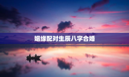 姻缘配对生辰八字合婚，合姻缘八字算命