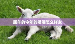属羊的今年的婚姻怎么样女(2023年爱情运势大揭秘)