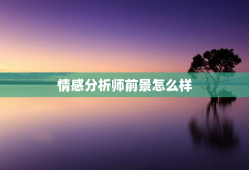 情感分析师前景怎么样，情感分析师工作怎么样